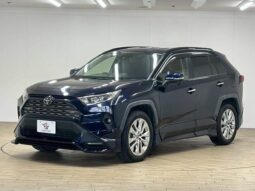 TOYOTA RAV4 2019