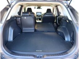 
										TOYOTA RAV4 2021 full									