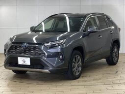 TOYOTA RAV4 2021