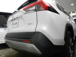
										TOYOTA RAV4 2025 full									