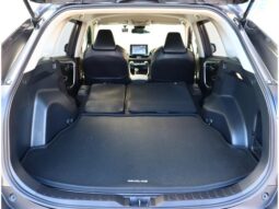 
										TOYOTA RAV4 2021 full									