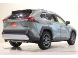 
										TOYOTA RAV4 2022 full									