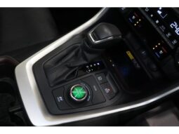 
										TOYOTA RAV4 2024 full									