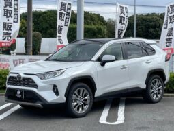 TOYOTA RAV4 2025