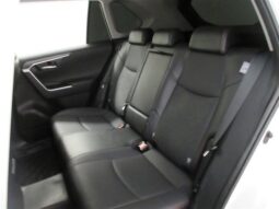 
										TOYOTA RAV4 2023 full									