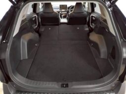 
										TOYOTA RAV4 2019 full									