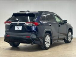
										TOYOTA RAV4 2019 full									