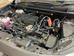 
										TOYOTA RAV4 2019 full									