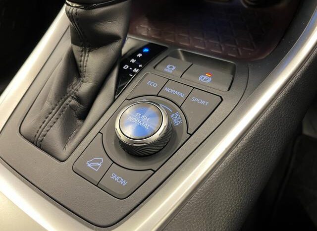 
								TOYOTA RAV4 2021 full									