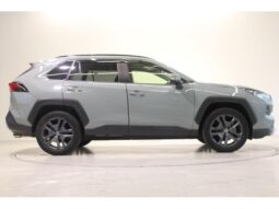 
										TOYOTA RAV4 2022 full									