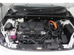 
										TOYOTA RAV4 2024 full									