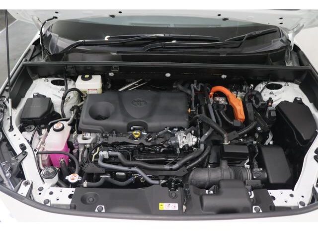 
								TOYOTA RAV4 2024 full									