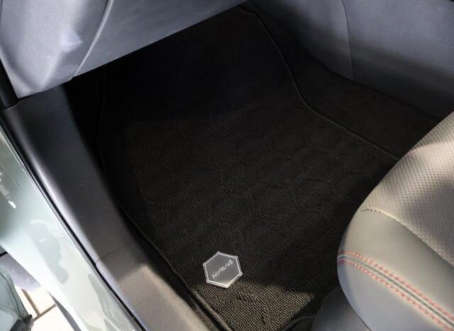 
								TOYOTA RAV4 2024 full									