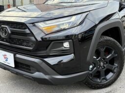 
										TOYOTA RAV4 2025 full									