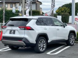 
										TOYOTA RAV4 2025 full									