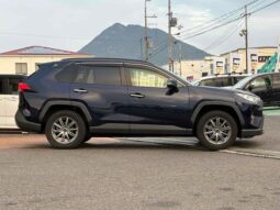 TOYOTA RAV4 2019