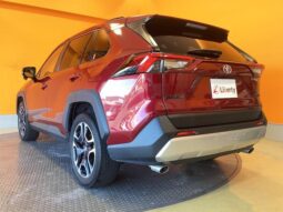 
										TOYOTA RAV4 2021 full									