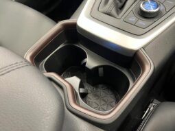 
										TOYOTA RAV4 2021 full									