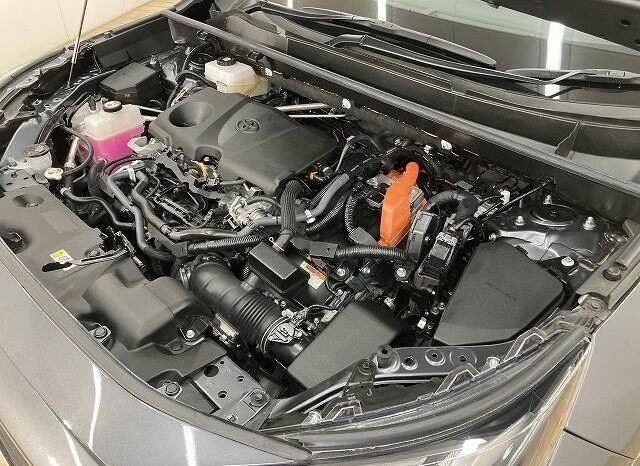 
								TOYOTA RAV4 2021 full									