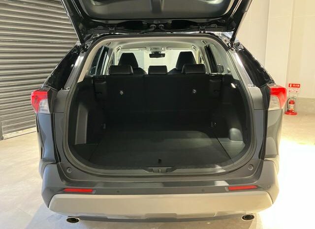 
								TOYOTA RAV4 2021 full									