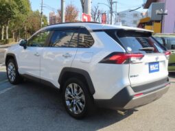 
										TOYOTA RAV4 2022 full									