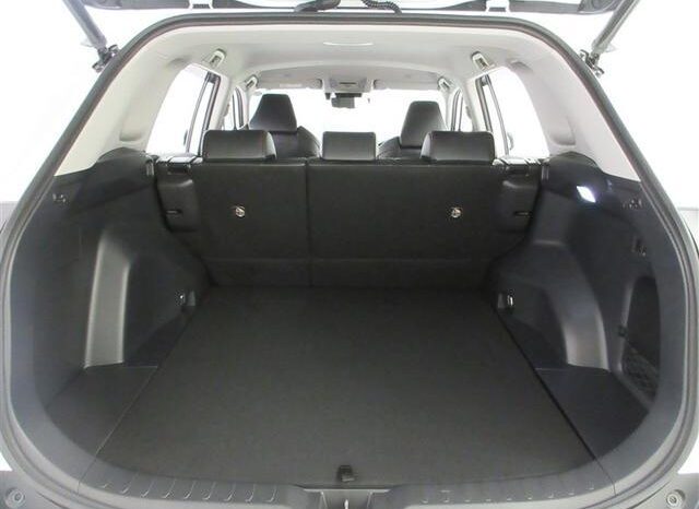 
								TOYOTA RAV4 2023 full									