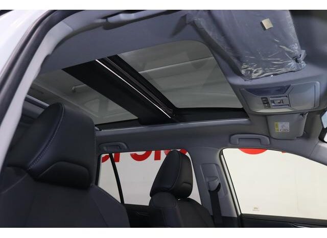 
								TOYOTA RAV4 2024 full									