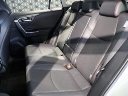 
										TOYOTA RAV4 2024 full									