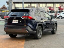 
										TOYOTA RAV4 2019 full									