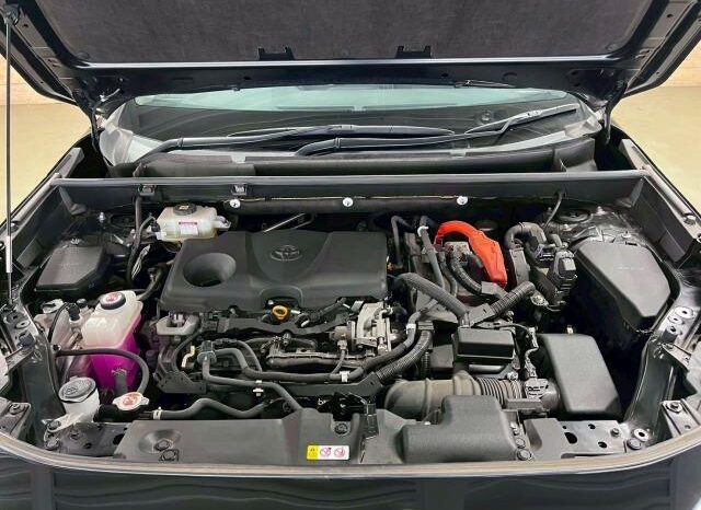 
								TOYOTA RAV4 2021 full									