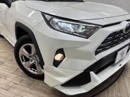 
										TOYOTA RAV4 2021 full									