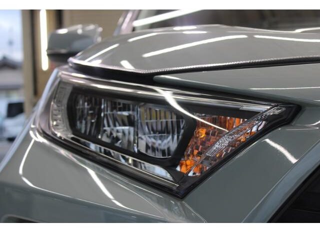 
								TOYOTA RAV4 2022 full									