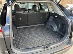 
										TOYOTA RAV4 2024 full									