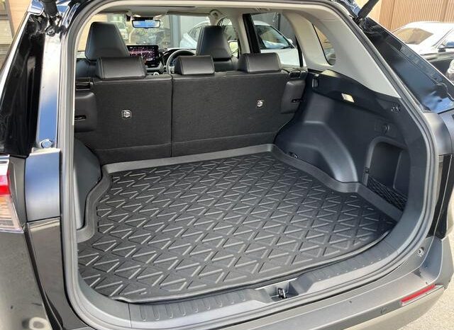 
								TOYOTA RAV4 2024 full									