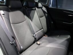 
										TOYOTA RAV4 2024 full									