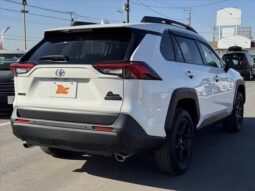 
										TOYOTA RAV4 2024 full									