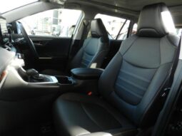 
										TOYOTA RAV4 2025 full									
