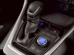 
										TOYOTA RAV4 2019 full									