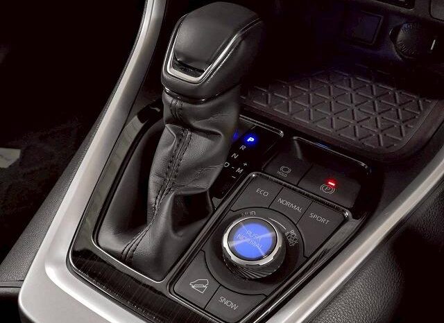 
								TOYOTA RAV4 2019 full									