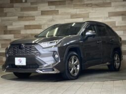
										TOYOTA RAV4 2019 full									