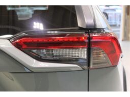 
										TOYOTA RAV4 2022 full									