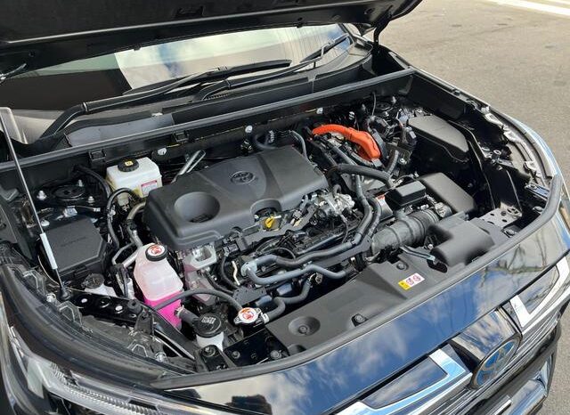 
								TOYOTA RAV4 2024 full									