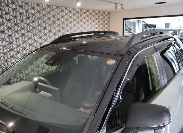 
								TOYOTA RAV4 2024 full									