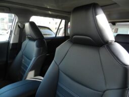 
										TOYOTA RAV4 2025 full									