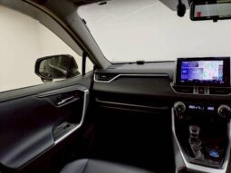 
										TOYOTA RAV4 2019 full									