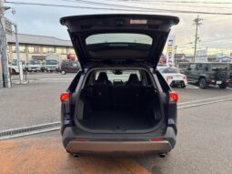 
										TOYOTA RAV4 2019 full									
