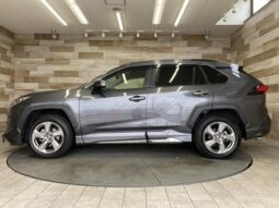 
										TOYOTA RAV4 2019 full									