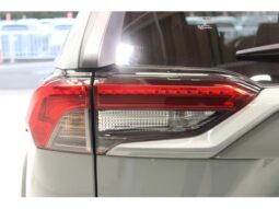 
										TOYOTA RAV4 2022 full									