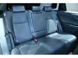 
										TOYOTA RAV4 2023 full									