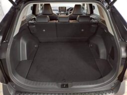 
										TOYOTA RAV4 2019 full									